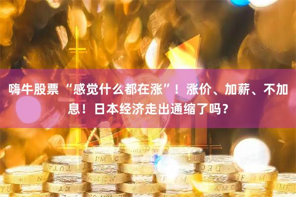 嗨牛股票 “感觉什么都在涨”！涨价、加薪、不加息！日本经济走出通缩了吗？
