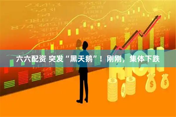 六六配资 突发“黑天鹅”！刚刚，集体下跌