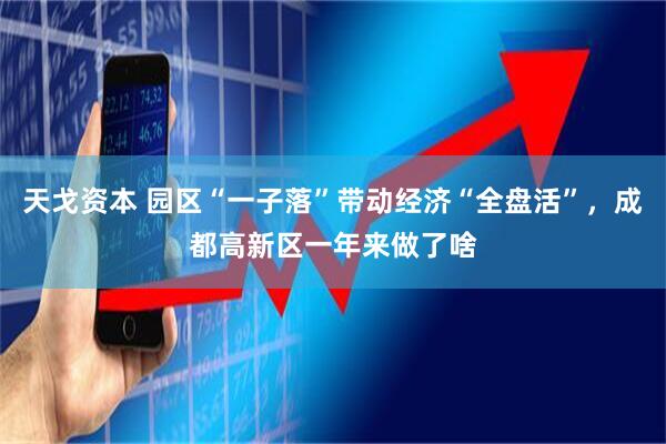 天戈资本 园区“一子落”带动经济“全盘活”，成都高新区一年来做了啥