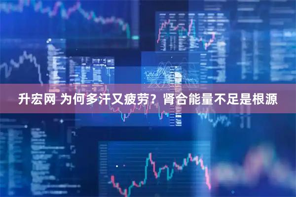 升宏网 为何多汗又疲劳？肾合能量不足是根源