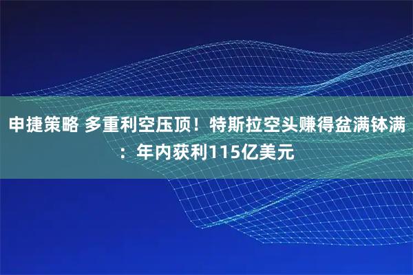 申捷策略 多重利空压顶！特斯拉空头赚得盆满钵满：年内获利115亿美元