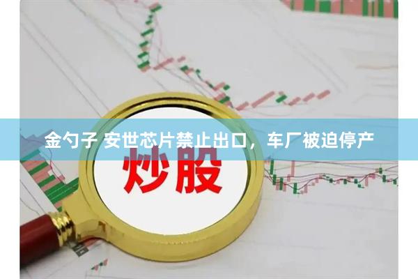 金勺子 安世芯片禁止出口，车厂被迫停产